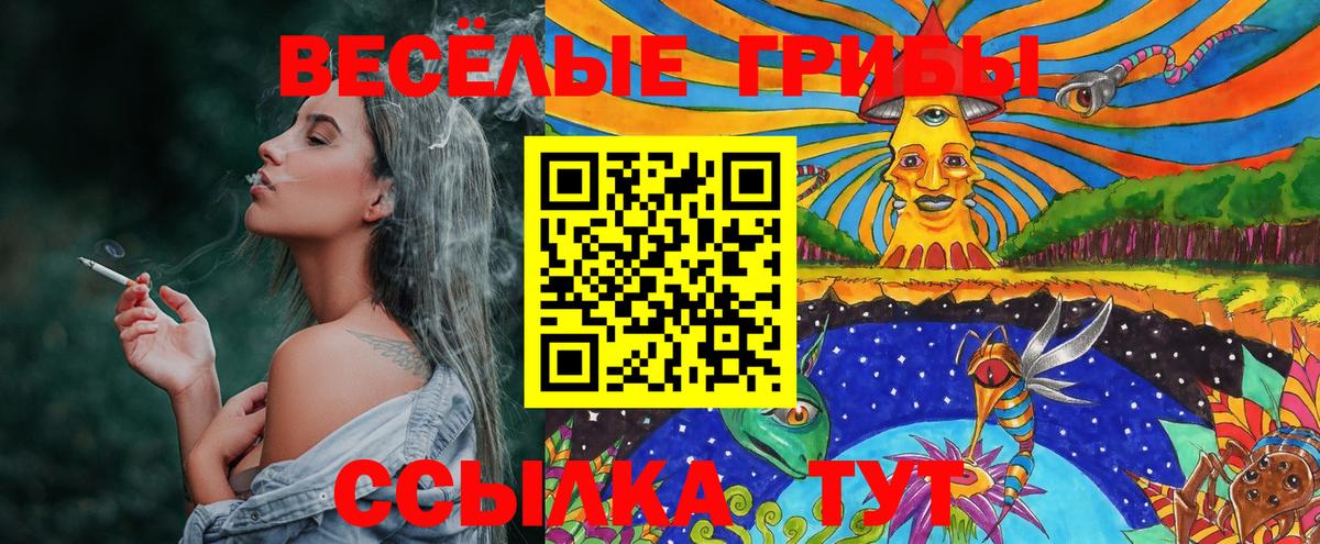 Галлюциногенные грибы мицелий Рузаевка