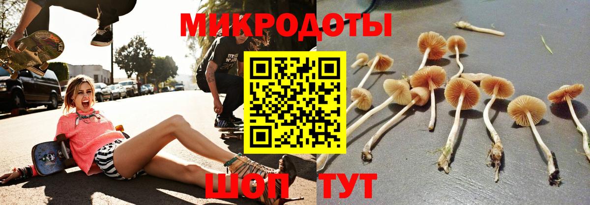 Галлюциногенные грибы мицелий  Вход с VPN  Рузаевка  Галлюциногенные грибы Cubensis 